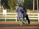 Northern Illinois Horse Fest: Dare Devils